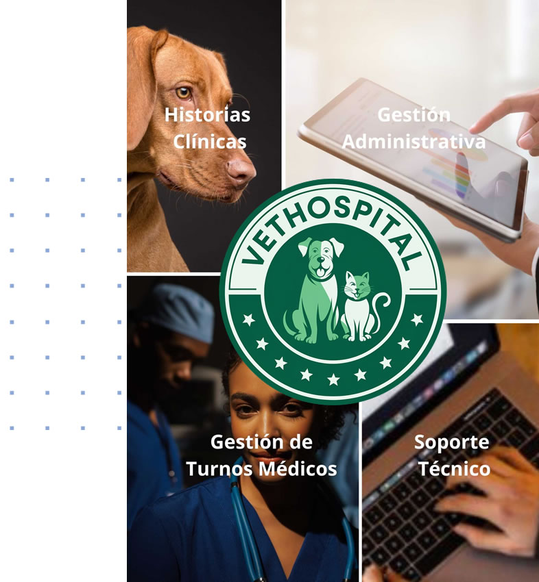 logo_vethospital